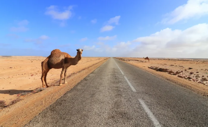 Tour de 3 Días desde Fez al Desierto de Merzouga