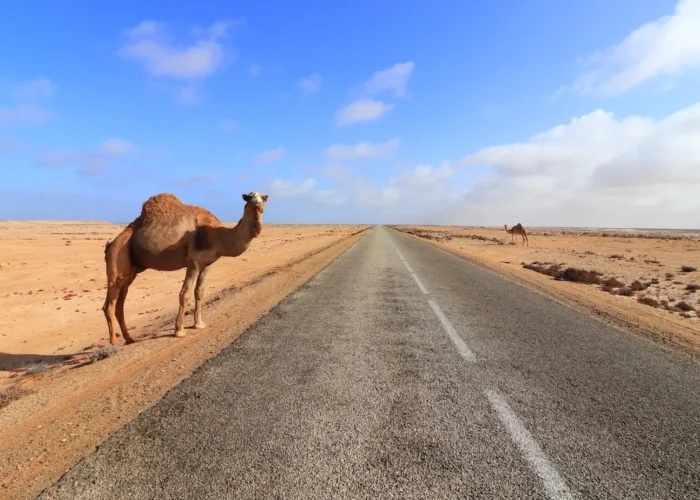 Tour de 3 Días desde Fez al Desierto de Merzouga