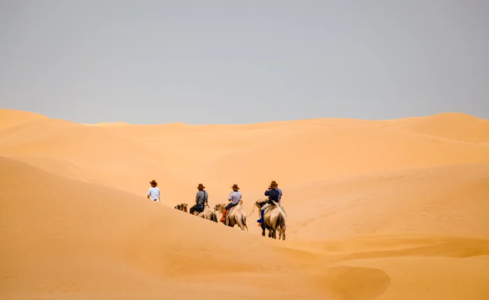 Tour de 4 Días desde Fez a Marrakech
