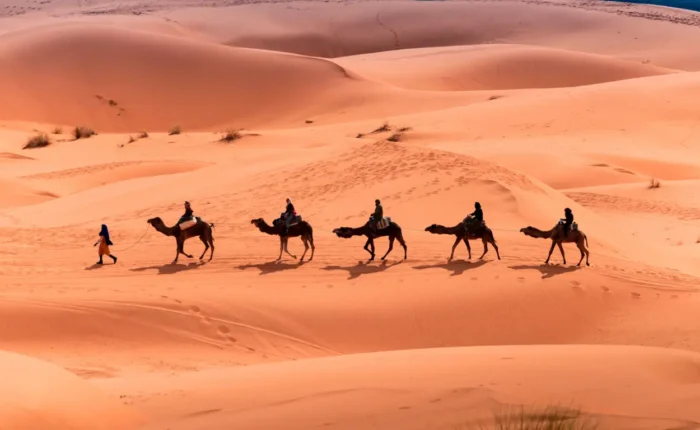 Tour de 3 Días desde Fez a Marrakech