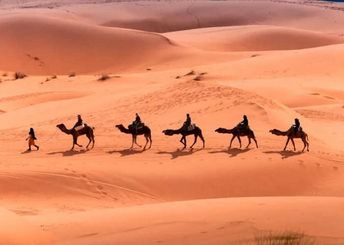 Tour de 3 Días desde Fez a Marrakech