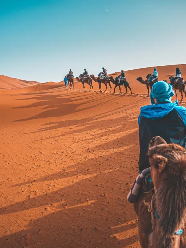 Tour de 8 Días desde Fez