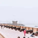 Excursión de 1 Día desde Marrakech a Essaouira