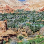 Excursión de 1 Día al Valle de Ourika desde Marrakech