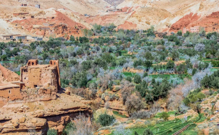 Excursión de 1 Día al Valle de Ourika desde Marrakech