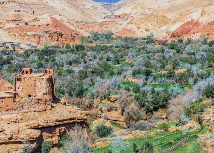 Excursión de 1 Día al Valle de Ourika desde Marrakech